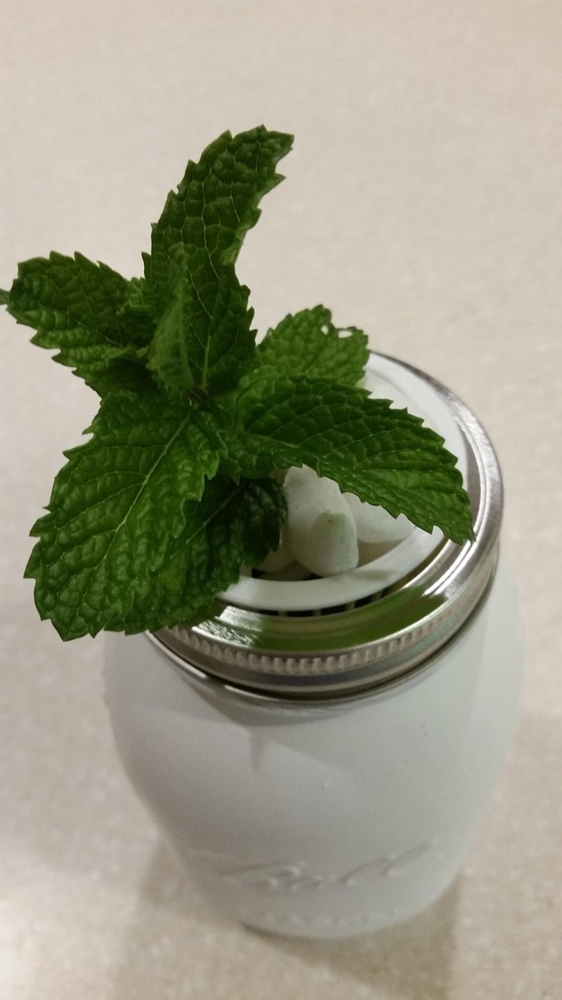 Indoor Herb Garden Kit